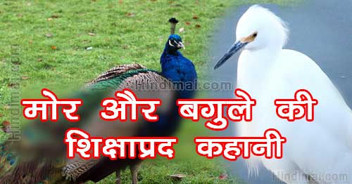 Peacock And Crane Motivational Moral Story in Hindi , Moral Story in Hindi, Hindi Story, moral stories in hindi peacock and crane motivational moral story in hindi Peacock And Crane Motivational Moral Story in Hindi Peacock And Crane Motivational Moral Story in Hindi 01